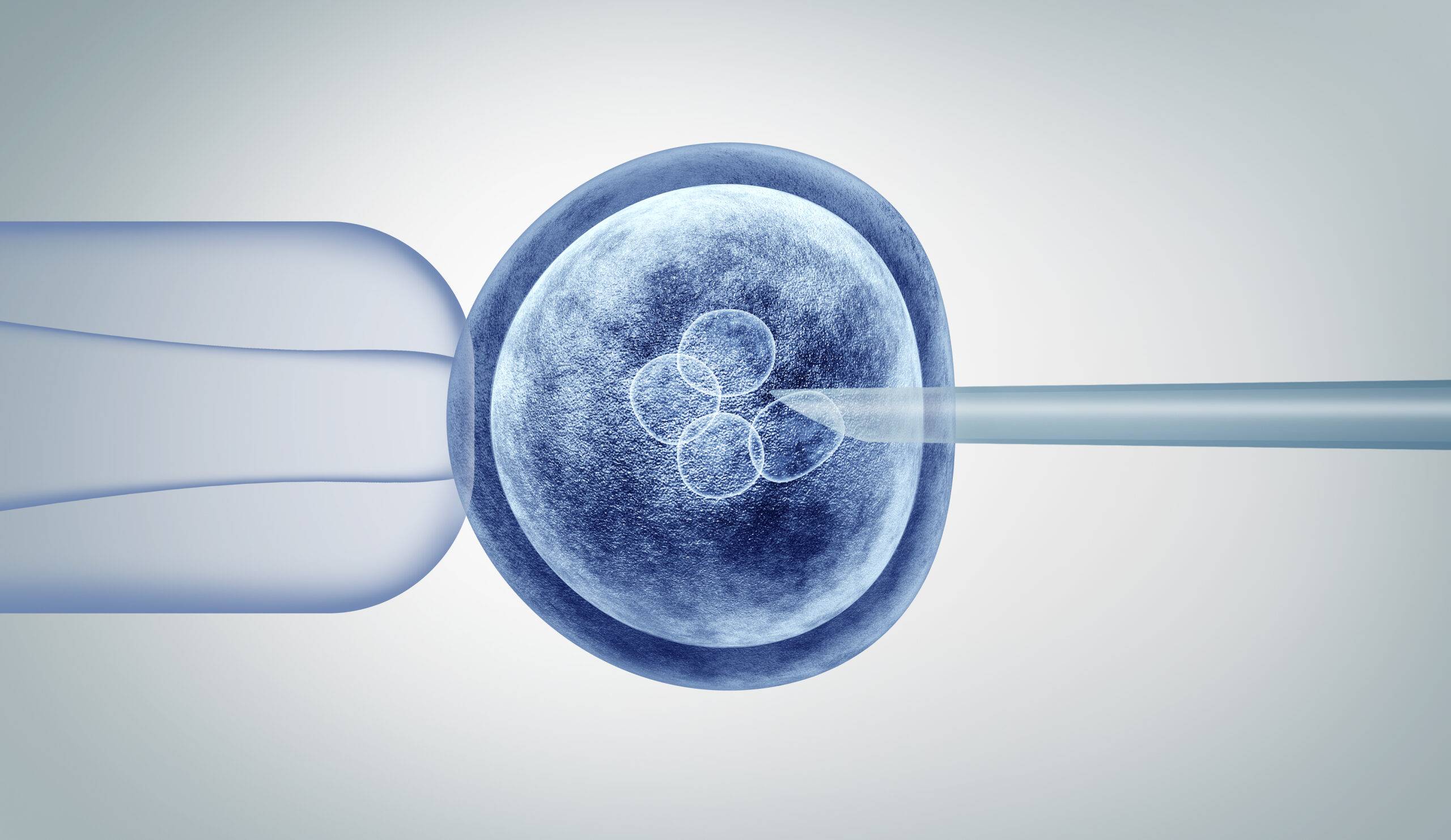 Scoperta: embrioni umani creati da cellule della pelle