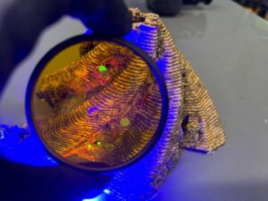 insediamenti corallini. su basette 3d helix recess
