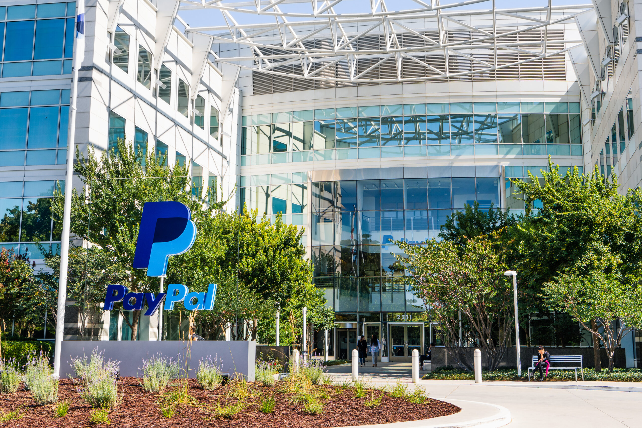 paypal in profonda crisi