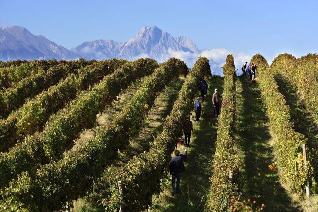 I Vini d’Abruzzo protagonisti al Prix Italia 2026